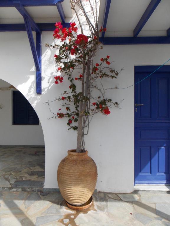 Aparthotel Porto Apergis à Agios Ioannis  Extérieur photo